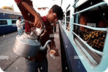 Vendors